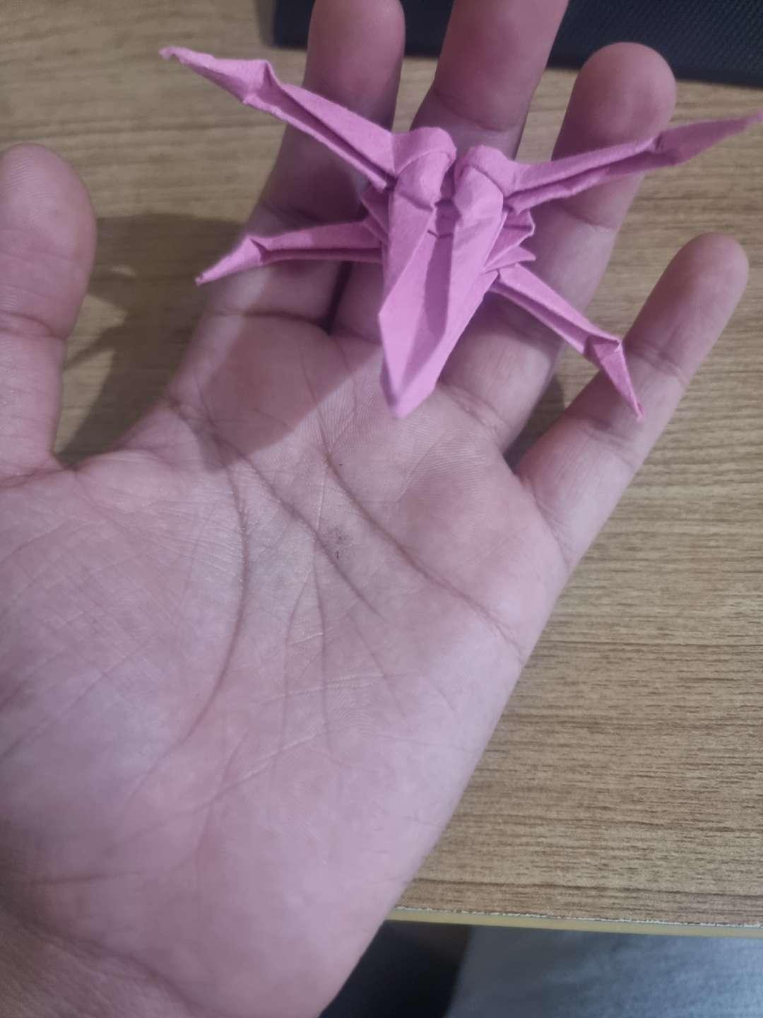 Origami model — P10